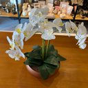 Ver imagem 3 de Arranjo Grande Centro de Mesa 3 Orquídeas Branca 3d Vaso Cobre Decore Fácil Shop