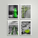 Ver imagem 1 de Kit 4 Quadros Decorativos Fotografias Verdes