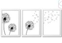 Ver imagem 1 de 3 Quadros Decoração Dente de Leão Flor Minimalista C Moldura:branca