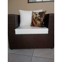 Ver imagem 3 de Conjunto de Poltrona 2 Lugares em Fibra Sintética