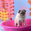 Ver imagem 4 de Caixa Piscina Feijão 100 Litros Rosa Afort