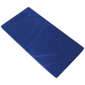Colchonete para Ginástica, Academia e Yoga - 90 X 42 X 2 Cm Orthovida - Azul