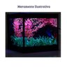 Aquário Beteira com Iluminação LED Bivolt e Decoração Aquabetta 17x15x15cm - 6