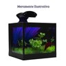 Aquário Beteira com Iluminação LED Bivolt e Decoração Aquabetta 17x15x15cm - 3