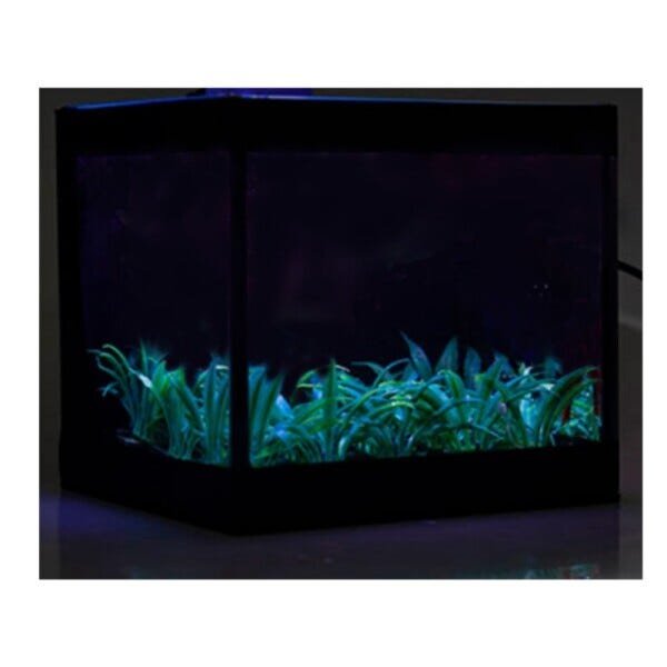Aquário Beteira com Iluminação LED Bivolt e Decoração Aquabetta 17x15x15cm - 5