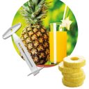 Ver imagem 3 de Descascador Abacaxi com Lâmina Fatiadora Removedor Núcleo Miolo Fruta Multifuncional Cascaxi