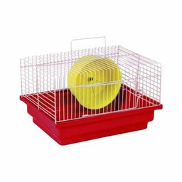 Gaiola para Transporte de Hamster e Pequenos Roedores Completa - 2