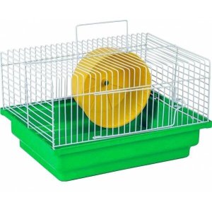 Gaiola para Transporte de Hamster e Pequenos Roedores