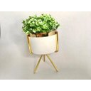 Ver imagem 2 de Cachepot G em Resina Brancagold com Suporte Metal Gold e Planta Decor