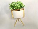 Ver imagem 2 de Cachepot G em Resina Brancagold com Suporte Metal Gold e Planta Decor