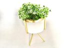 Ver imagem 1 de Cachepot G em Resina Brancagold com Suporte Metal Gold e Planta Decor