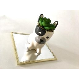 Enfeite Decorativo Cachepot Cerâmica Cachorro com Planta 11x10,5x7cm - 4