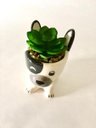 Ver imagem 2 de Enfeite Decorativo Cachepot Cerâmica Cachorro com Planta 11x10,5x7cm