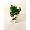 Ver imagem 2 de Enfeite Decorativo Cachepot Cerâmica Cachorro com Planta 11x10,5x7cm