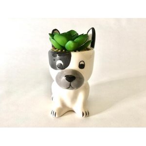 Enfeite Decorativo Cachepot Cerâmica Cachorro com Planta 11x10,5x7cm