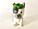 Ver imagem 1 de Enfeite Decorativo Cachepot Cerâmica Cachorro com Planta 11x10,5x7cm