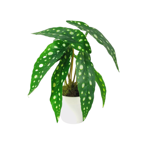 Arranjo de Planta Artificial em Vaso de Plástico Modelo:Planta Begônia