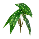 Ver imagem 3 de Arranjo de Planta Artificial em Vaso de Plástico Modelo:Planta Begônia