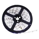 Ver imagem 2 de Fita 3528 de Led Rolo 5 Metros Branca Fria