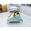 Ver imagem 2 de Manta Cobertor Menina Princesa  Solteiro Ultra Soft , Macia, Quentinha