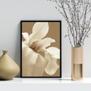 Ver imagem 2 de Quadro Decorativo Flor Branca Fundo Marrom 45x34cm:madeira Preta