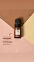 Ver imagem 4 de Kit 05 Essencias Via Aroma Maravilhas da Natureza
