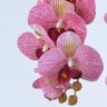 Arranjo 4 Orquídeas Artificiais Rosa em Terrário Prata Yasmin - 3