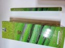 Ver imagem 2 de Incenso Indiano Shankar Citronela Box Com 200varetas