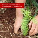 Ver mais imagens de Cozinha Completa Branca com Armário e Balcão + Tampo Madesa