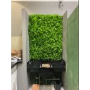 Ver imagem 7 de Kit 8 Placas Painel Plantas Artificial Jardim Vertical Decorativa Protecao Uv Decoração Inverno Inte