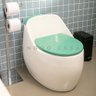 Vaso Sanitário Monobloco Caixa Acoplada Privada Aquarela Pingoo.casa - Branco e Ciano - 8