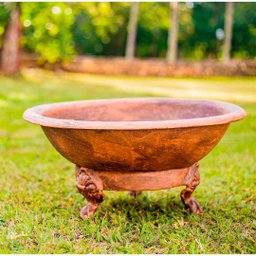 KIT MEU JARDIM 5 LENHEIRO SERRA NEGRA CADEIRA PAVÃO - 3
