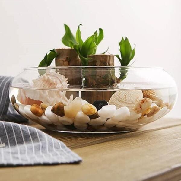 Vaso Terrario de Vidro Grande para Suculentas 13x22x28cm | MadeiraMadeira