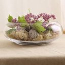 Ver imagem 2 de Vaso Terrario de Vidro Grande para Suculentas 13x22x28cm