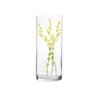 Vaso Cilindro Vidro 14X30Cm - 2