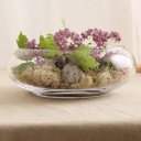 Ver imagem 2 de Vaso Terrario de Vidro Gigante para Suculentas 19x29x33cm