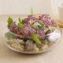 Ver imagem 3 de Vaso Terrario de Vidro Gigante para Suculentas 19x29x33cm