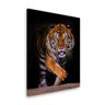 QUADRO DECORATIVO TIGRE DE BENGALA CAMINHANDO - 1
