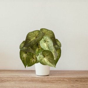 1 Buquê Verde Artificial Realista Decorativo para Salas, Mesas, Vasos e Jardineiras com Folhagem