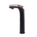 Ver imagem 1 de Torneira Misturador Monocomando Bica Alta Rose/preto Tigres