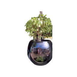 Vaso decorativo em fibra de vidro - Oval Maior - - 1