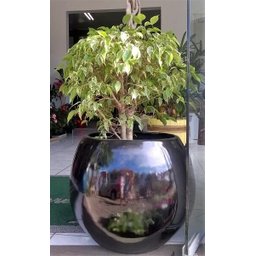 Vaso decorativo em fibra de vidro - Oval Maior - - 4
