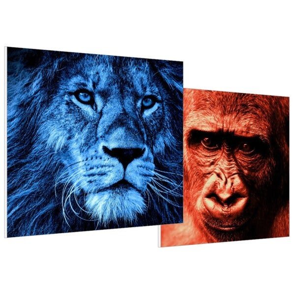 Kit com duas placas decorativas animais - 40x40cm - 40400225 - 1