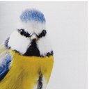 Ver imagem 4 de Tela Impressa Passarinho Corpo Amarelo Fullway - 30x30 cm