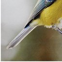 Ver imagem 5 de Tela Impressa Passarinho Corpo Amarelo Fullway - 30x30 cm