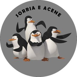 Capa Estepe Ecosport Crossfox Pinguins de Madagascar Lorben - 1