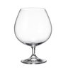 Jogo com 6 Taças de Cristal Conhaque 690ml Colibri Bohemia - 1