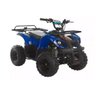 Mini Quadriciclo 49cc Xw-a16 C/ Nf - Dsr - 1
