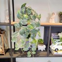 Ver imagem 2 de Kit 2 Pendente Fitônia 75cm Planta Artificial Folhagem