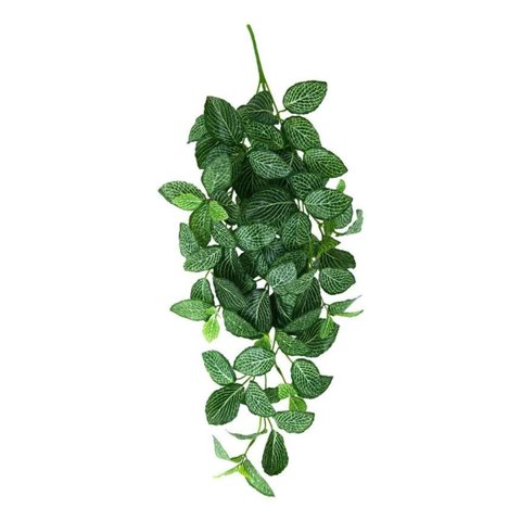 Kit 2 Pendente Fitônia 75cm Planta Artificial Folhagem